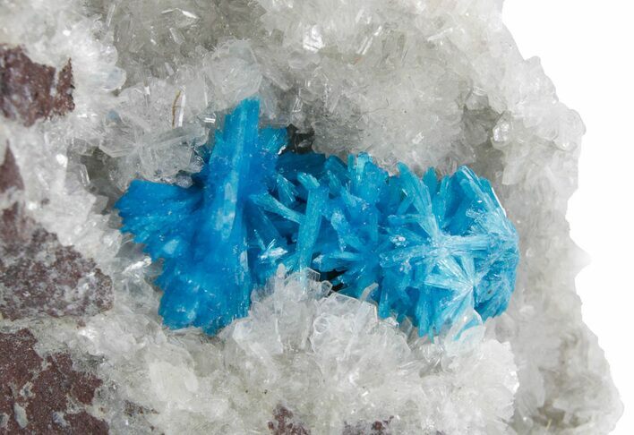 Vibrant Blue Cavansite Crystals on Sparkling Stilbite - India #357232